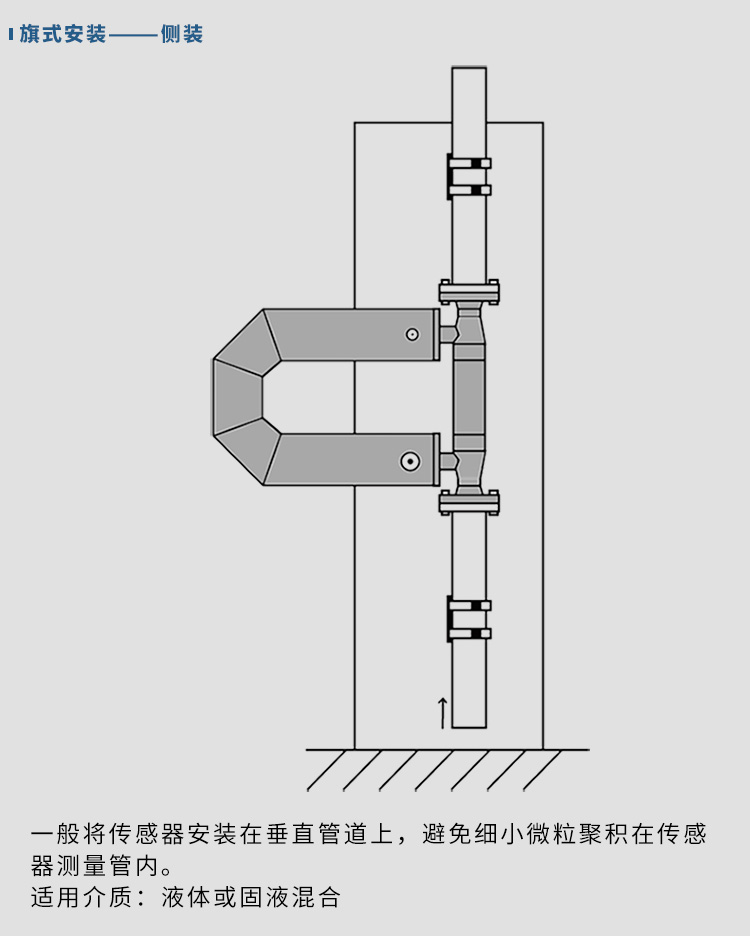 實驗室質(zhì)量流量計垂直安裝示意圖